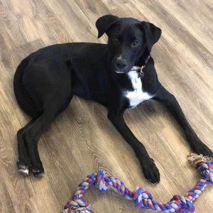 Meet your Posher, Alisha